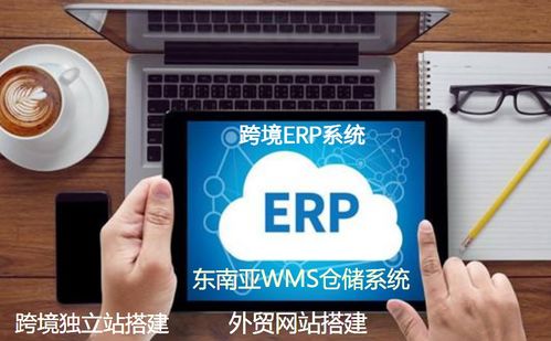 獨立站平臺定制